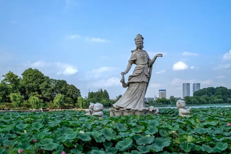 8e3b493cb284c92f3abaa021d722a6e2-sz_236004 8e3b493cb284c92f3abaa021d722a6e2-sz_236004