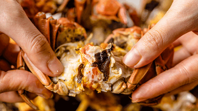 8e57a88a7a03c3f5b14168d065a8be96-sz_1767535