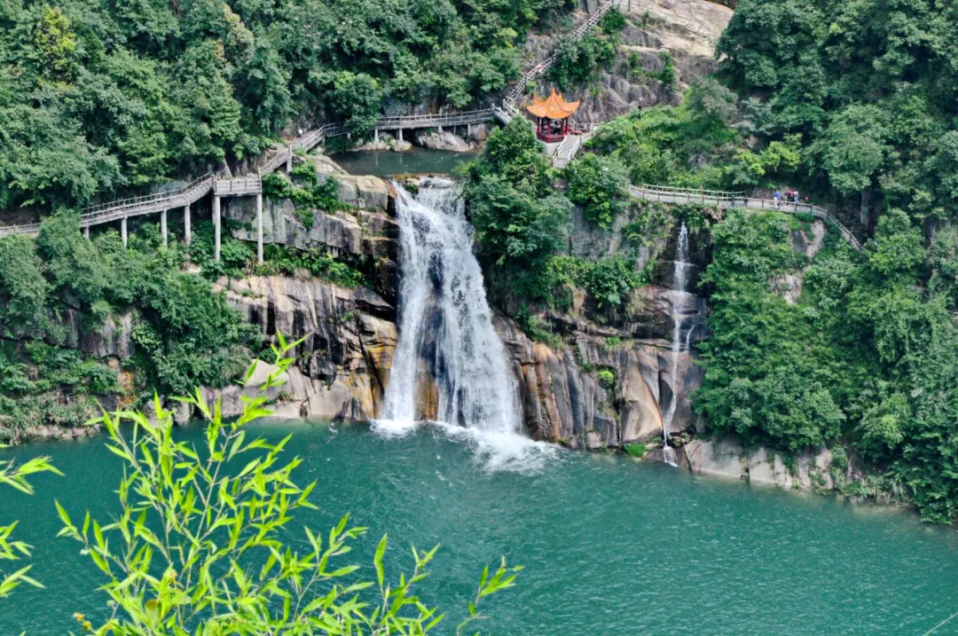 8ea36f272c8876015ad52651f1b8aaf4-sz_480183 8ea36f272c8876015ad52651f1b8aaf4-sz_480183