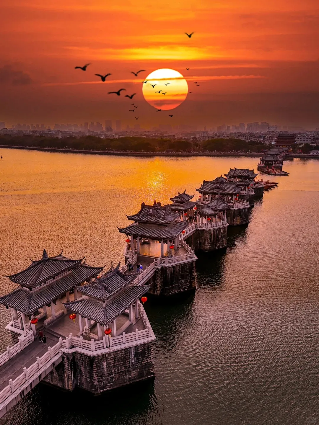 8ebea9bce77e752bc3be59bd5230ef6b-sz_509204