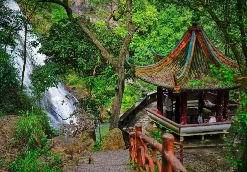 8ee0fe0d2d810ad7bf24ecb1ca14335d-sz_498627