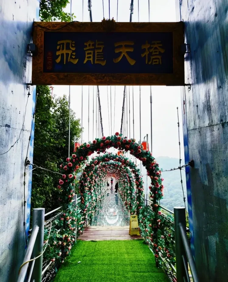 8f2d298328cc1911034068e3c2d379f4-sz_3061910