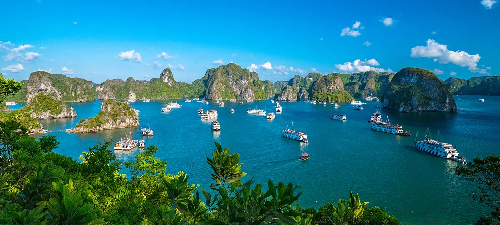 8f4b18de6fbba4180c9a14a47a6d6256-sz_826746