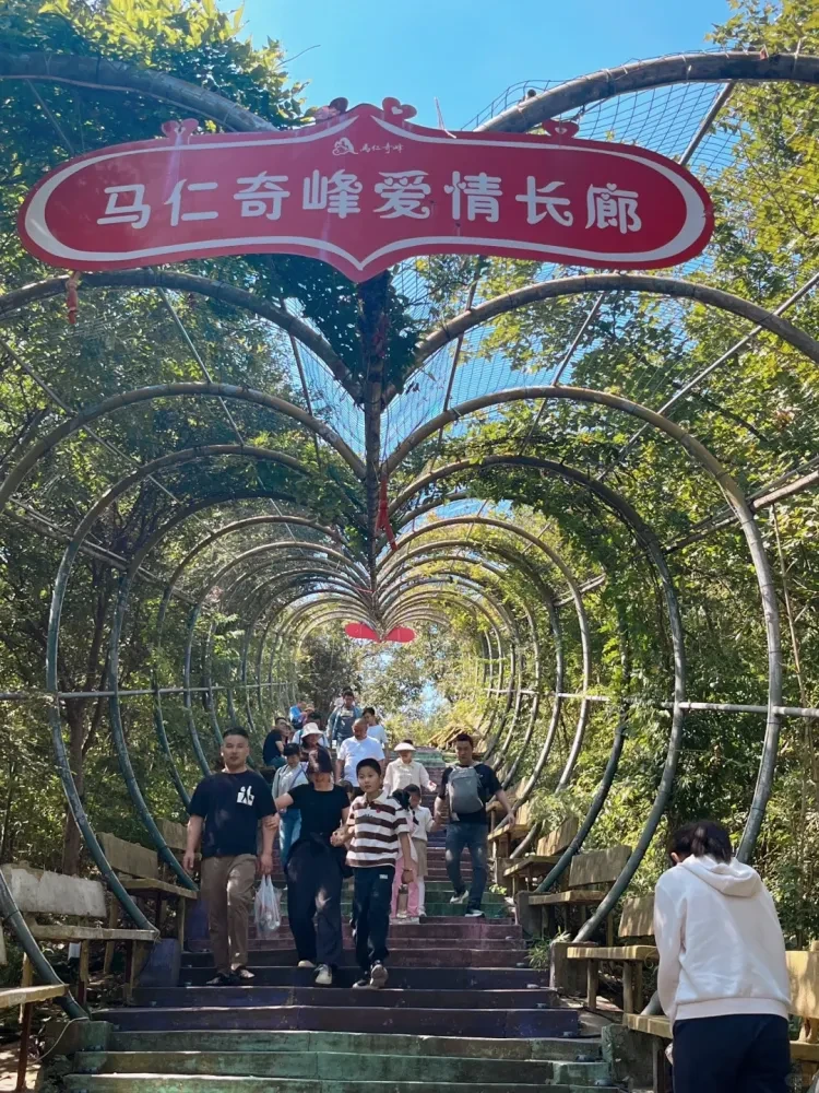 8fb4d86a503076de15d91dddd0c8c08c-sz_4049008