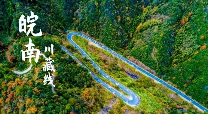 【399~宿五星君澜♥皖南晒秋♥东方多瑙河♥醉美喀纳斯】皖南川藏线♥羽落红杉林♥3早5正餐·大鹅宴·大盘鸡·烤鱼宴♥送5桌麻将