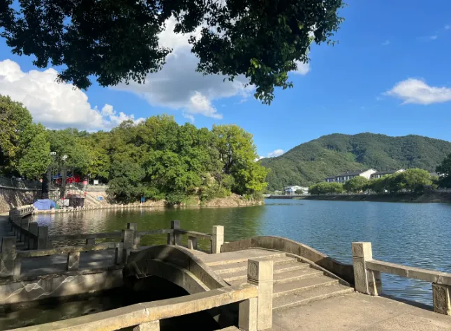 9020c41b0fc43fdcc4ae7ed4c739b513-sz_589710 9020c41b0fc43fdcc4ae7ed4c739b513-sz_589710