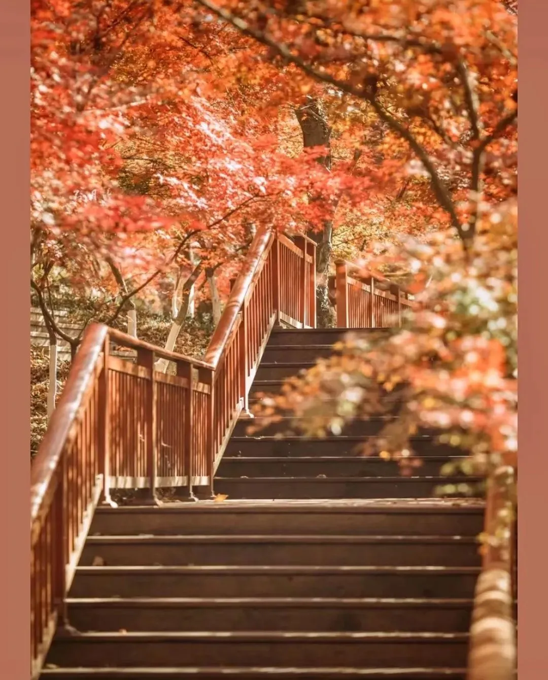 9027d101e206261119bf2632256d93a2-sz_222465