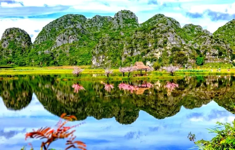 9031e2a3b02288d541b303171d9377a8-sz_204770