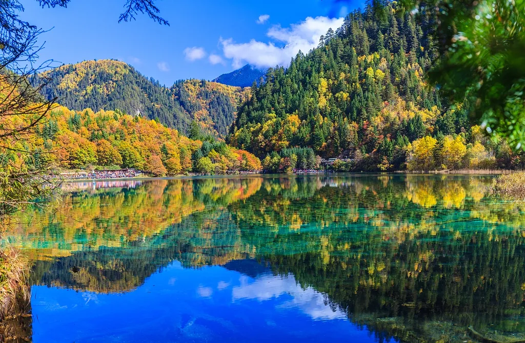 90546e805522da617cb5804160d7d938-sz_882503