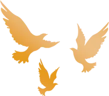 908d91aaa1c7d596be0b336f0508bc70-sz_19991-5 908d91aaa1c7d596be0b336f0508bc70-sz_19991-5