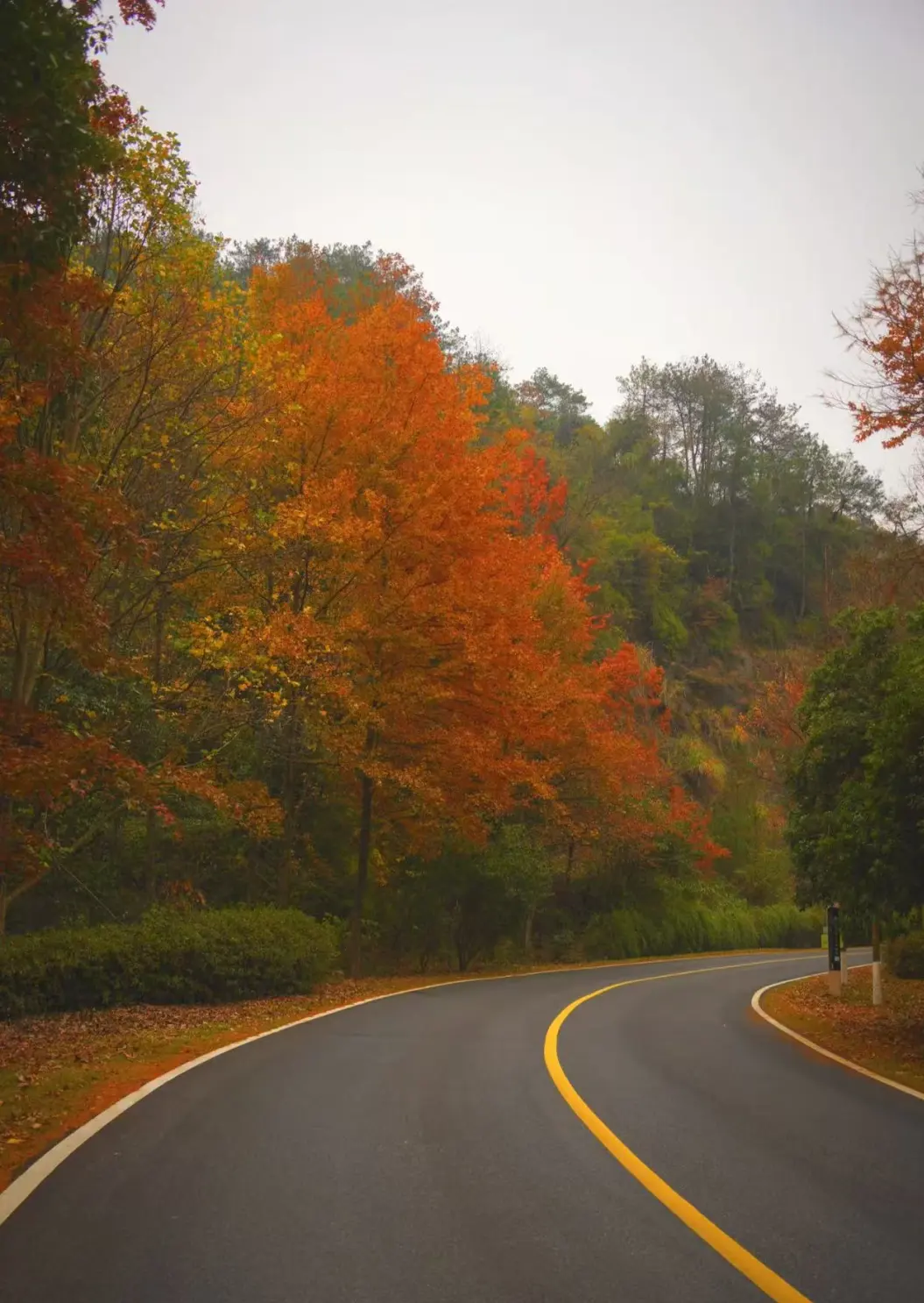 90f7be7873bc69e2659d8402ca20b967-sz_290807