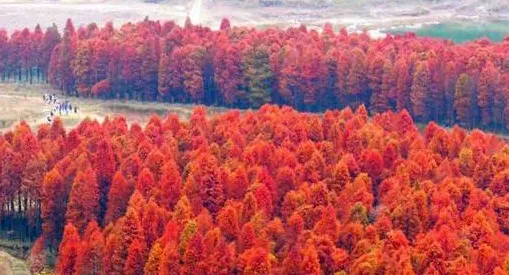 910d5a4b89ed787058e6b37086773af2-sz_325881 910d5a4b89ed787058e6b37086773af2-sz_325881