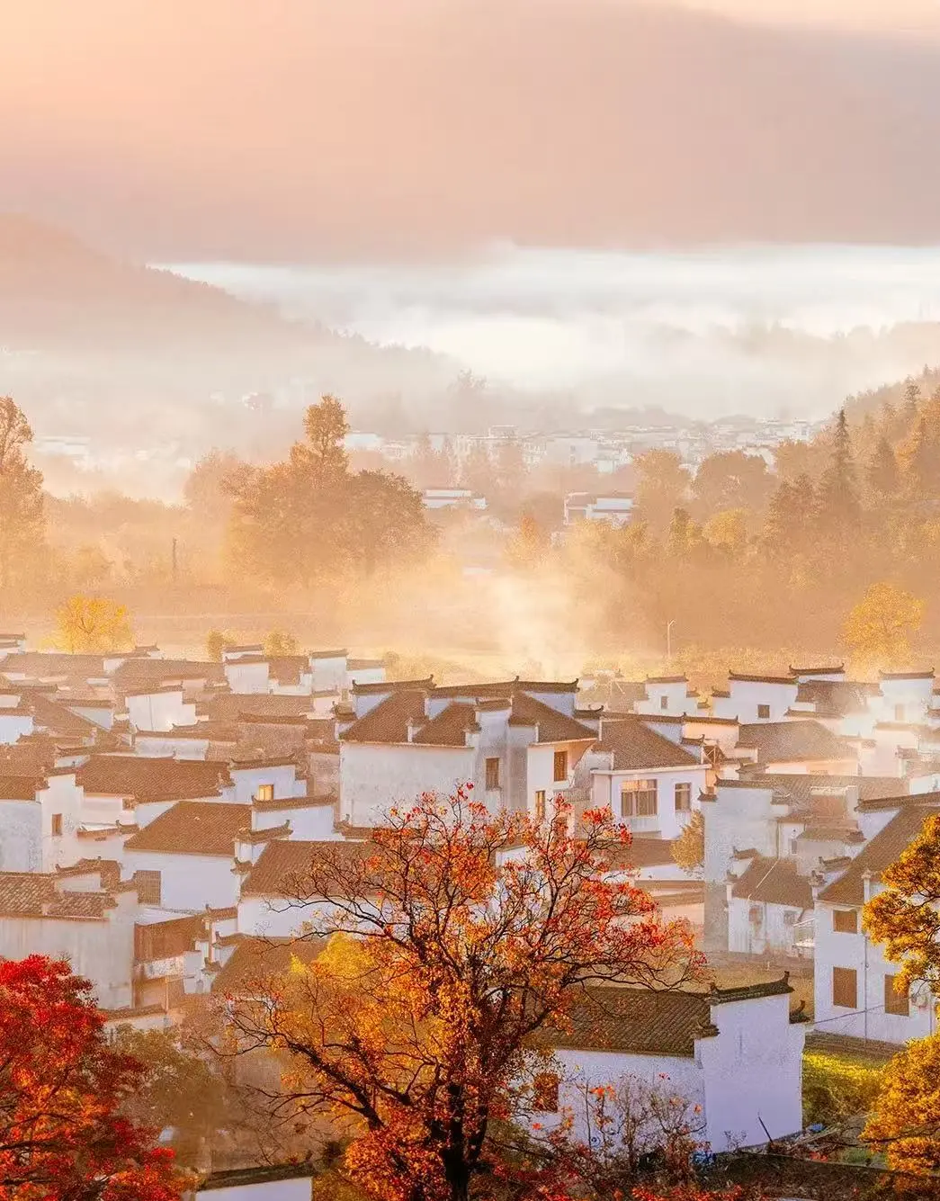 9111ea906aa9d1ae4ac6fbf9f83f3f18-sz_265499