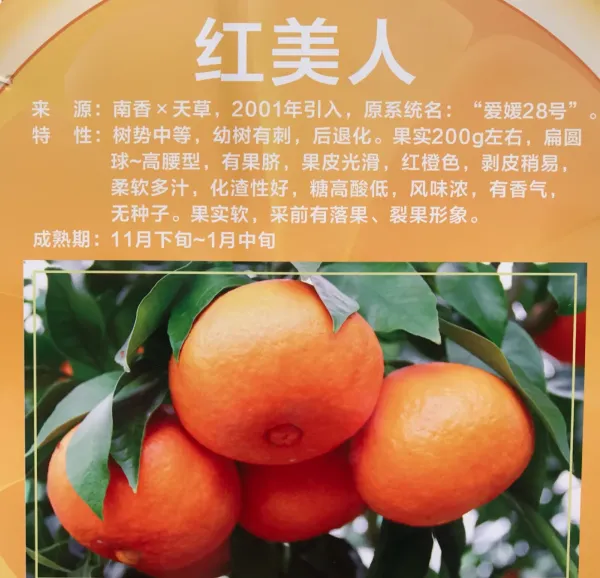 91738d56bab005a33386a4c44c604daf-sz_551110 91738d56bab005a33386a4c44c604daf-sz_551110