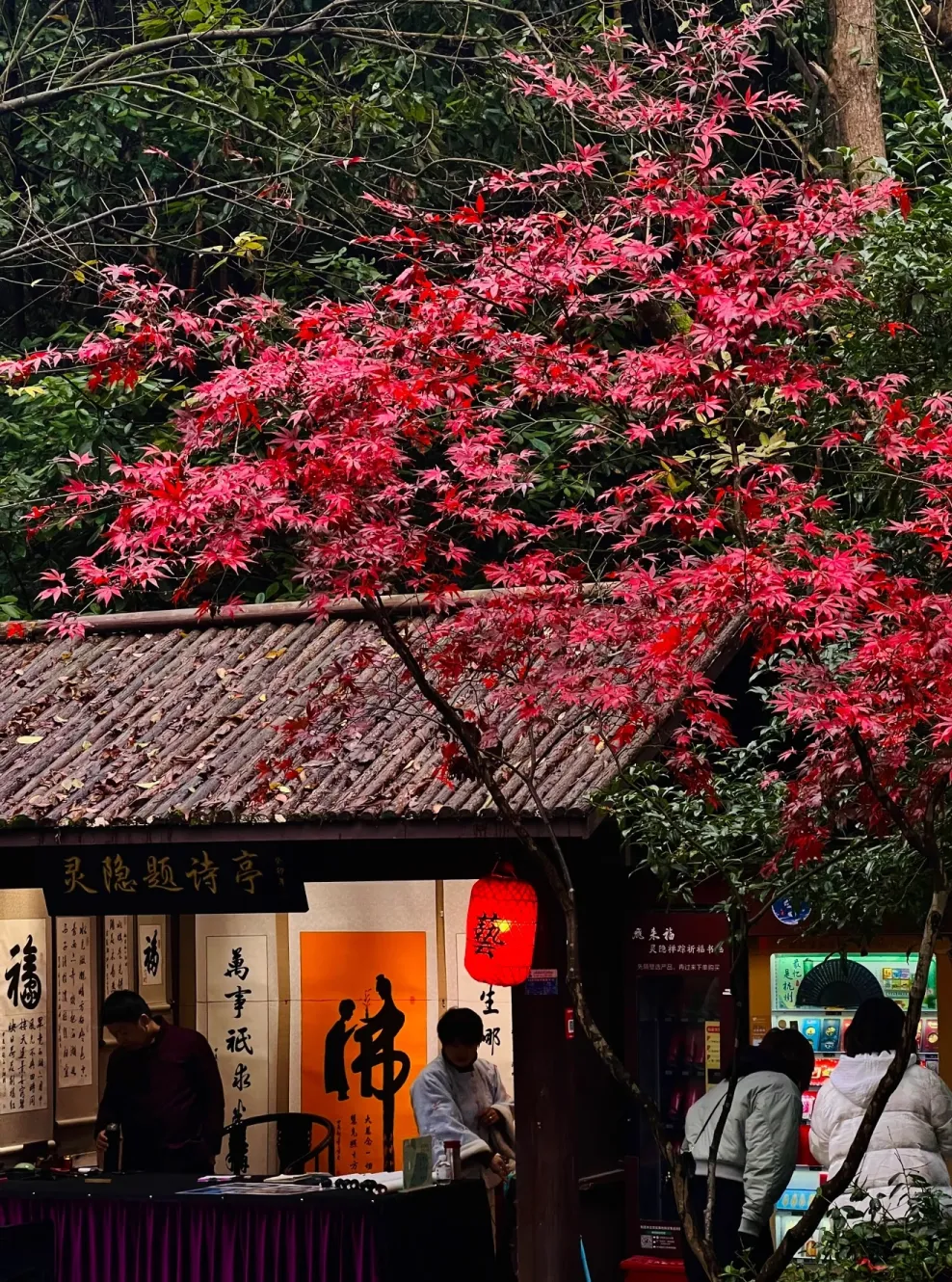 91af62f1ff8276aa11e24601f2173759-sz_2440989 91af62f1ff8276aa11e24601f2173759-sz_2440989