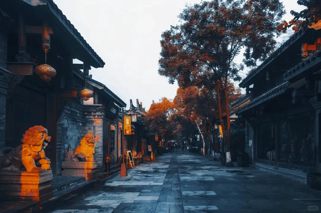 927a311f0a2bf935bb14164e195ca46e-sz_467158