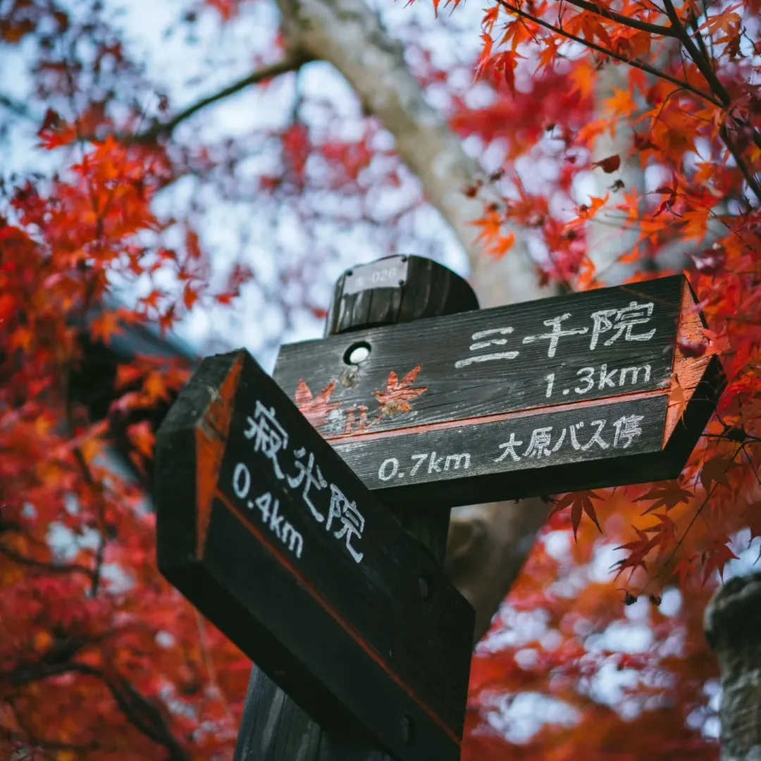 9281005d0aaac84cc02e96cddfa6cbe9-sz_372025 9281005d0aaac84cc02e96cddfa6cbe9-sz_372025