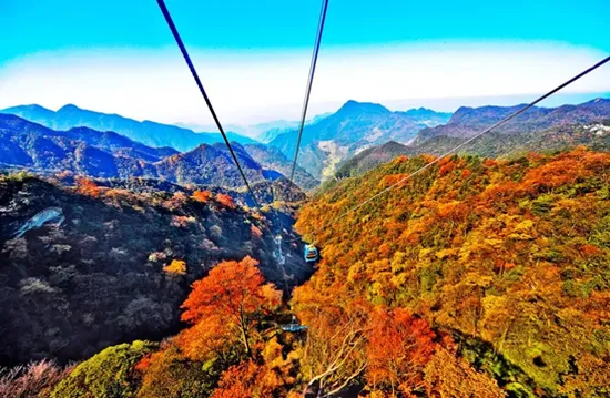 9298ab1a464c506f5a84d8df9e3b1460-sz_426474 9298ab1a464c506f5a84d8df9e3b1460-sz_426474