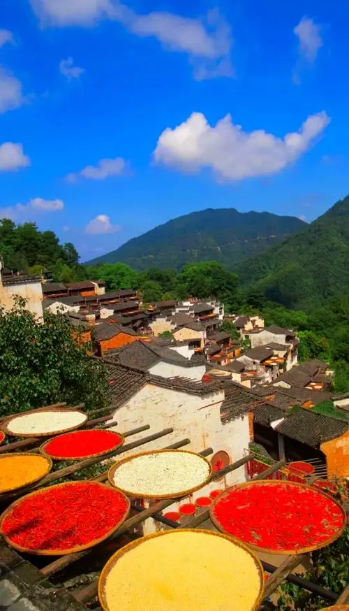 92bed206a59adf5d9bf653686cb0c02c-sz_75543