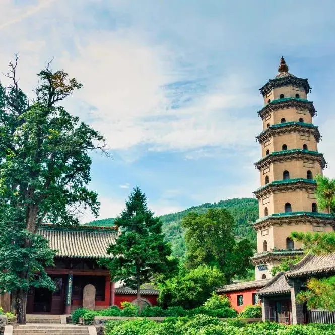 92d25829e8f3639aeab4e60a82161a8b-sz_154862 92d25829e8f3639aeab4e60a82161a8b-sz_154862