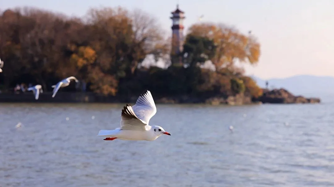 9333d3436da1aa9d9393be8c4fc0636d-sz_53441 9333d3436da1aa9d9393be8c4fc0636d-sz_53441