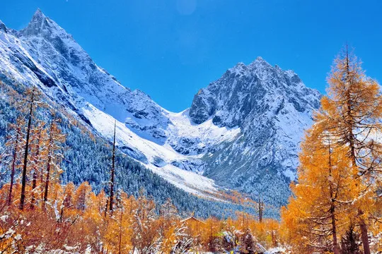 9335f156207358dc5c8f93a44830e1f6-sz_122965-1