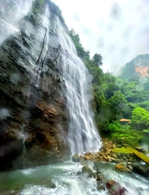 93425e946a79db4adb8c42a5e093064a-sz_61095