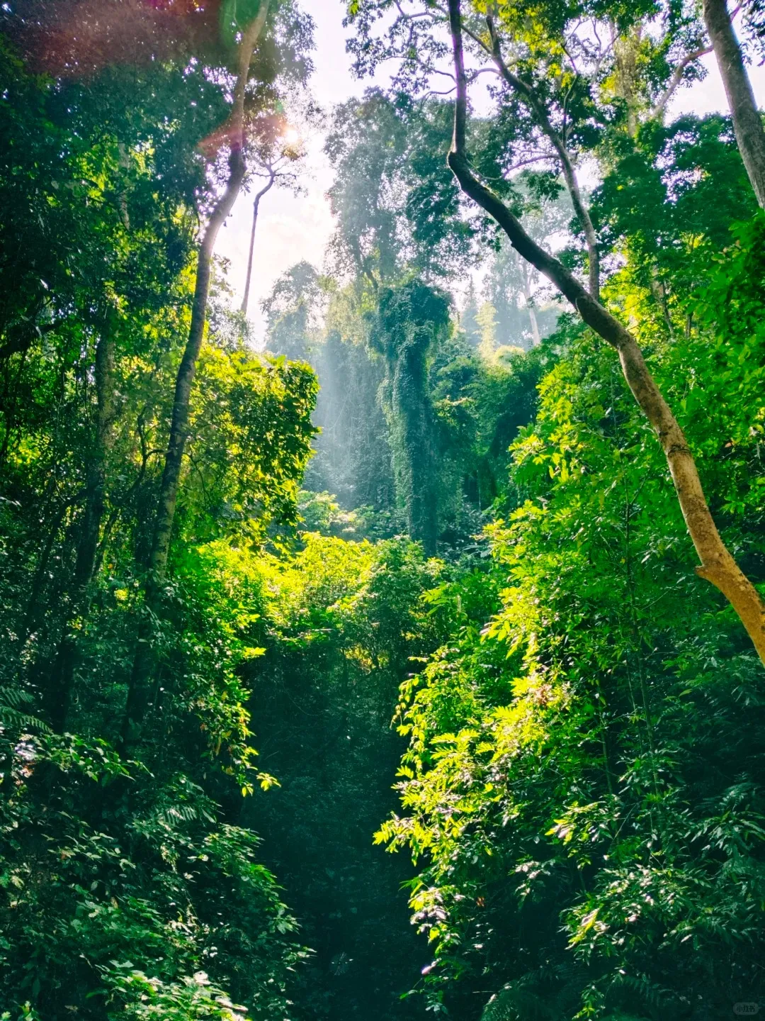 9371dda9dd3abf9237dd2f41449f60b2-sz_733204 9371dda9dd3abf9237dd2f41449f60b2-sz_733204