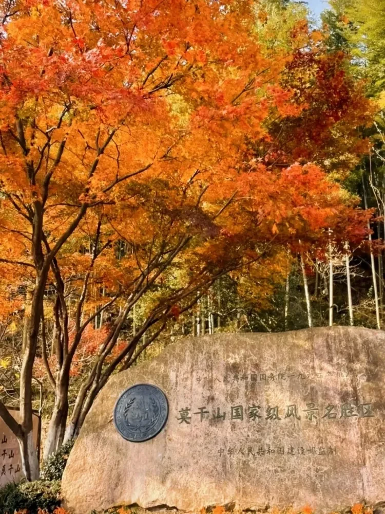 93848958d58e88ff9c0577c4842e5cf7-sz_366168 93848958d58e88ff9c0577c4842e5cf7-sz_366168