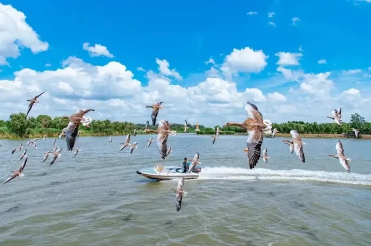 9395cc420cc9be0481f3dcd032fec276-sz_231773