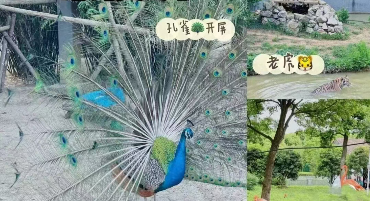 939a6edbfb243aa045ef1fef6b76325a 939a6edbfb243aa045ef1fef6b76325a