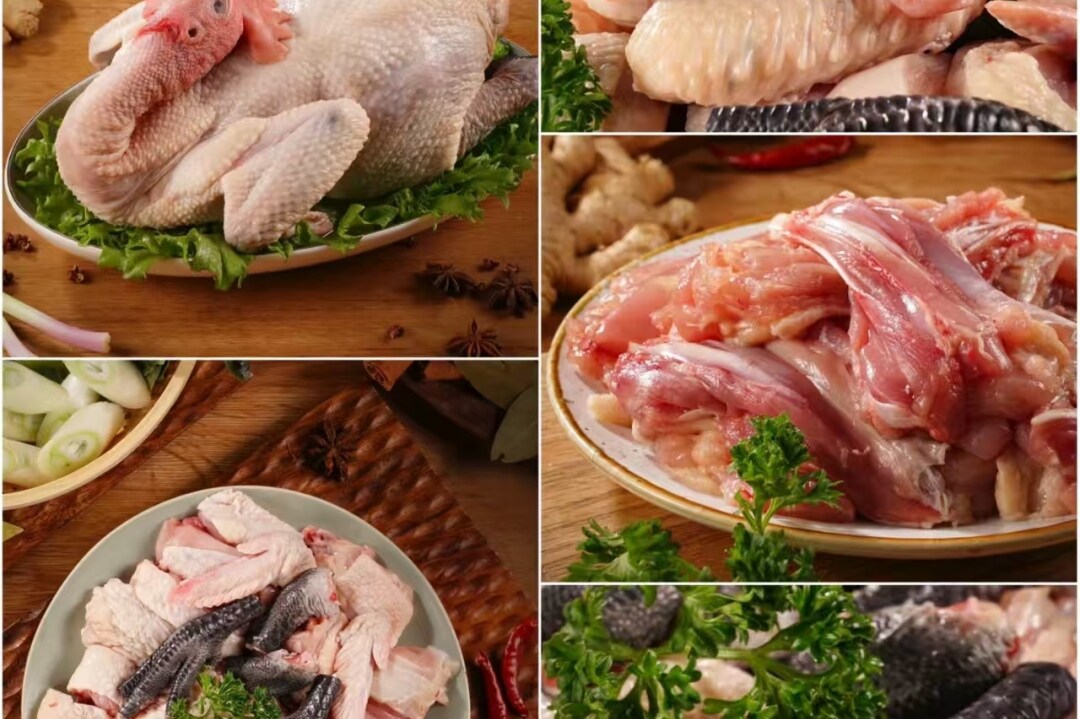 93a2becc8cc93fc76546083921246b3a-sz_1246248 93a2becc8cc93fc76546083921246b3a-sz_1246248