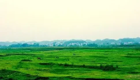 9408cf695bd6a192a867f9e1923c15d7-sz_207170-1