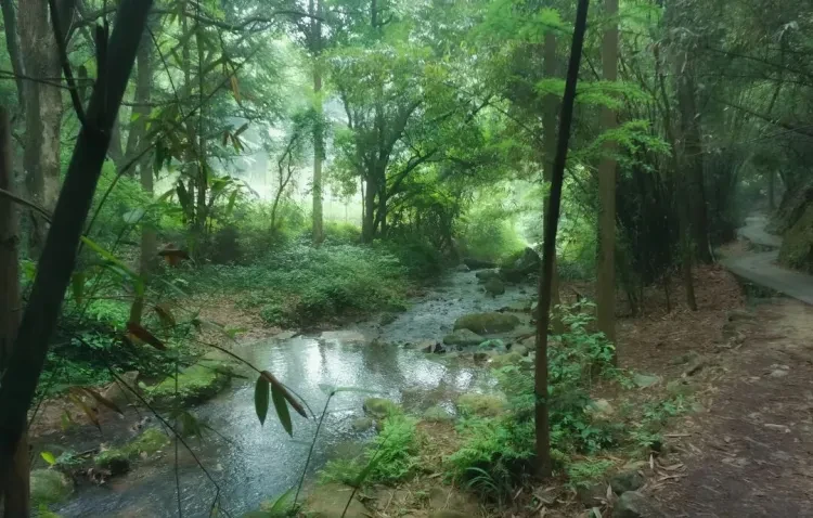 941bcc2268480b6e1799a20c69593323-sz_181219