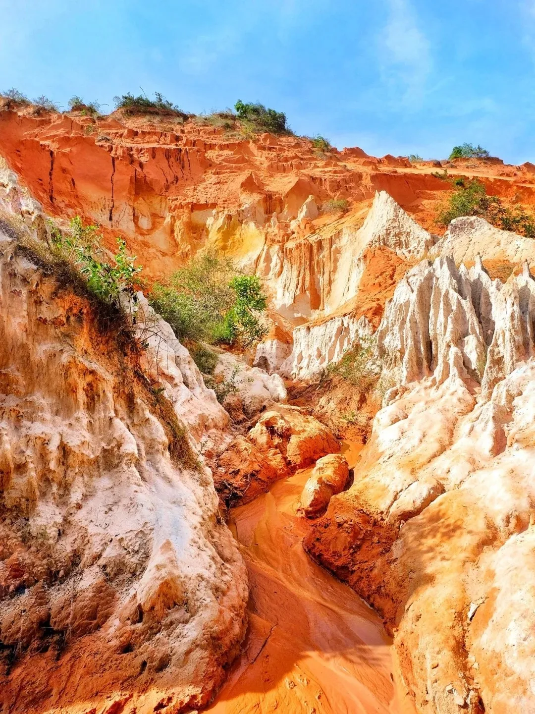 94769e05245885532468195fb76f5503-sz_810116 94769e05245885532468195fb76f5503-sz_810116