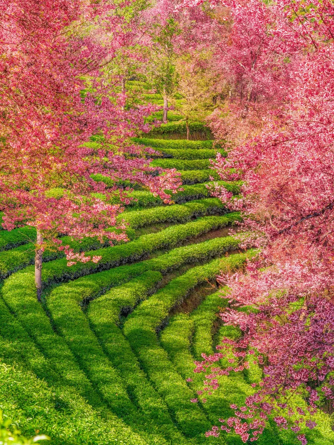 94bc80a10bcdac4316e876d59fd6e74e-sz_5071233-1 94bc80a10bcdac4316e876d59fd6e74e-sz_5071233-1