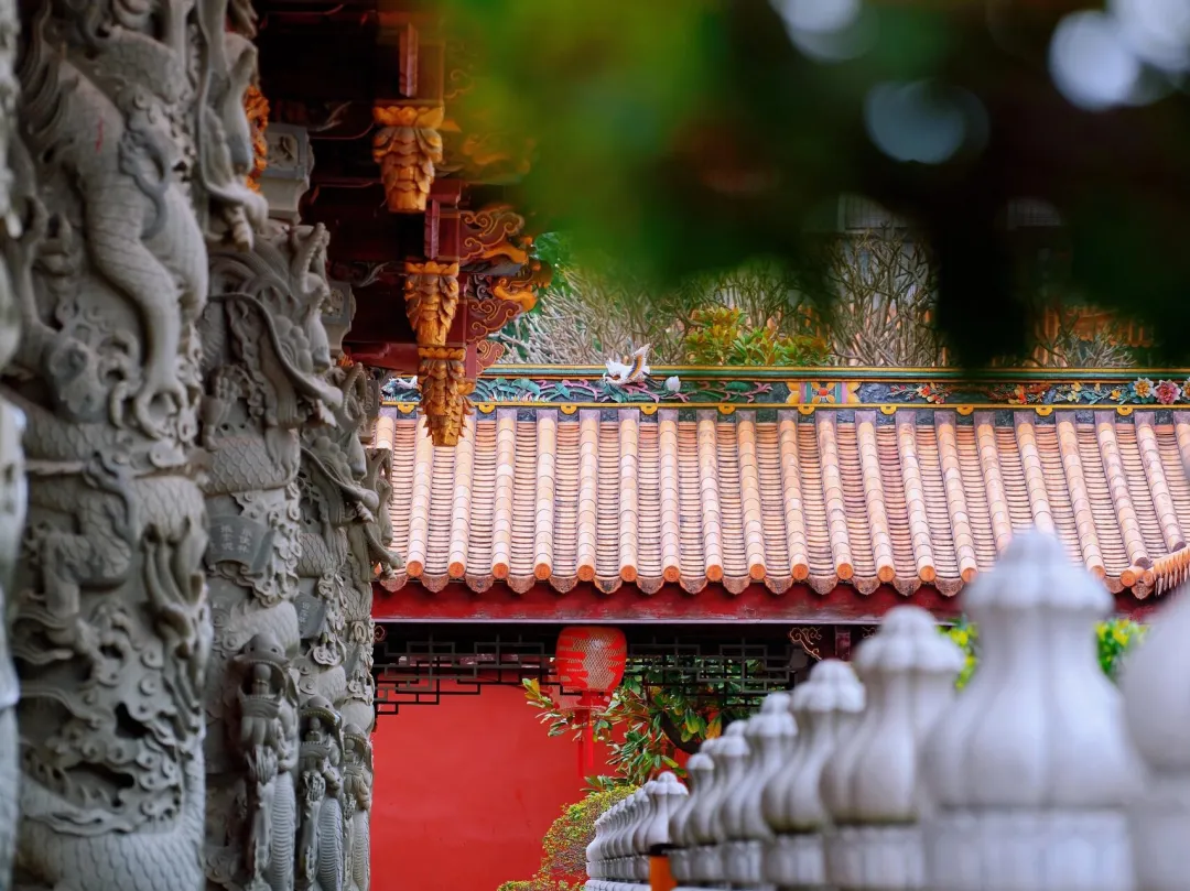 94e6a2028eff51c6fd77e08f7e879754-sz_502121