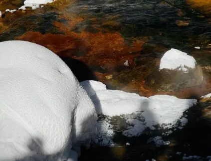 951826a7a7837a5ea157297329b33a84-sz_231583 951826a7a7837a5ea157297329b33a84-sz_231583