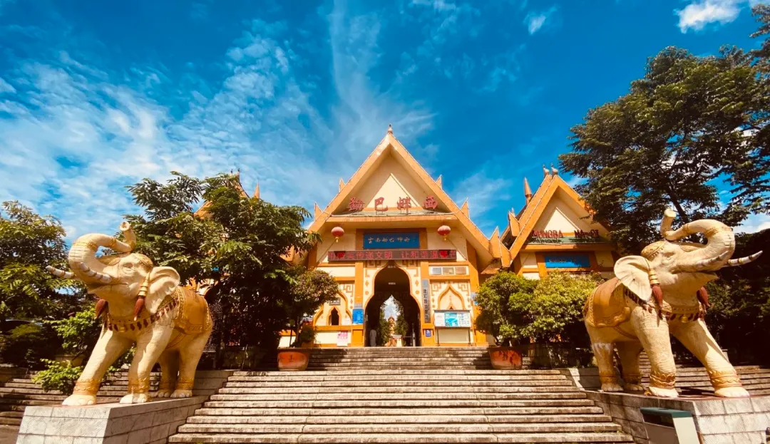 95403e95568d312901c09d471e34a8d9-sz_3536981-2