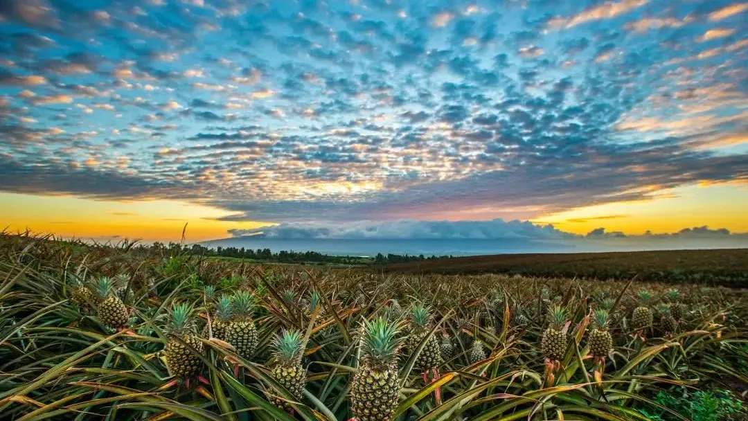 95569f2cec8dccc471c87ac06a454e01-sz_1356104