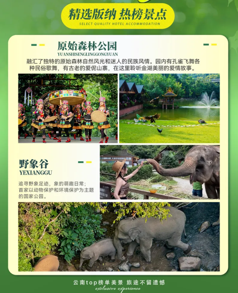 95c55bfdfa174a9fd7135e873e779c54-sz_1801258 95c55bfdfa174a9fd7135e873e779c54-sz_1801258