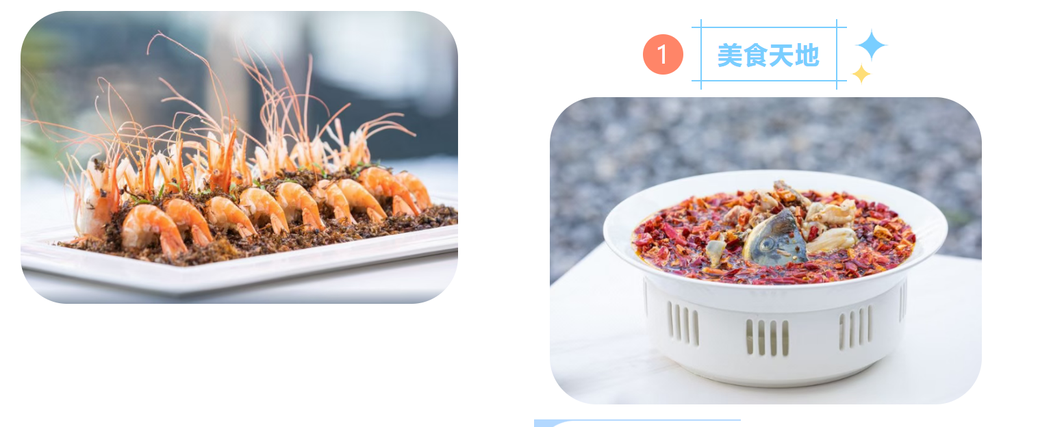 95d463eadb47a27953bd067031d9389e