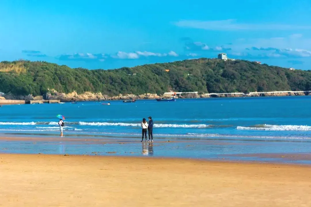 960154db7ea83c5a02b100a4f97f9ccb-sz_88849-1