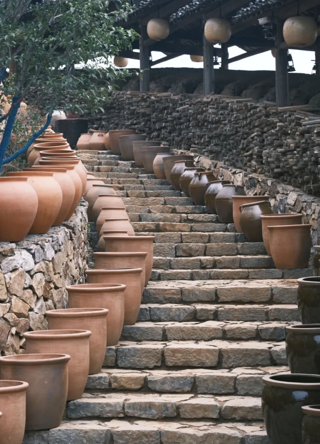 96023c809948f835cacfbab4630a372d-sz_1127074 96023c809948f835cacfbab4630a372d-sz_1127074