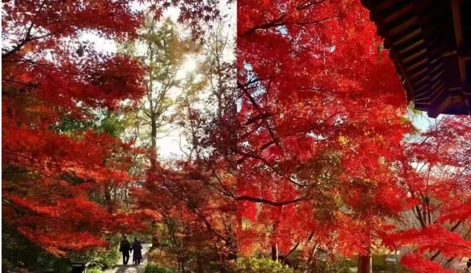 963e7e89c39ca378178c8ca0915c8299 963e7e89c39ca378178c8ca0915c8299