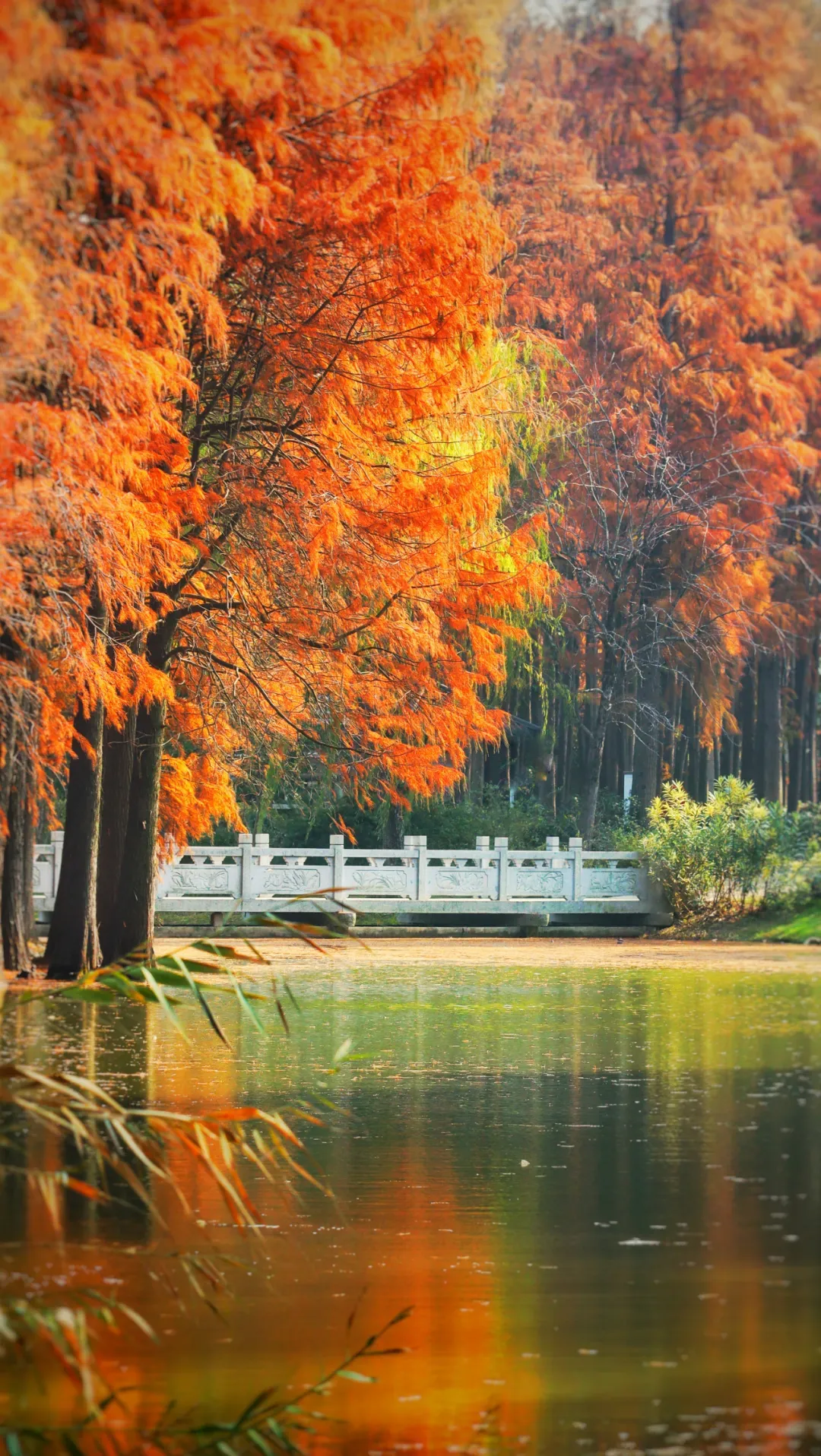 9640ea7e7a5ab203d0c6ddb0a3a26133-sz_3559941 9640ea7e7a5ab203d0c6ddb0a3a26133-sz_3559941