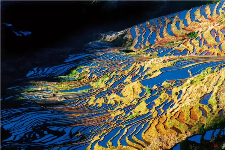 969358ce441302fa7b4eeee440c6d294-sz_99609