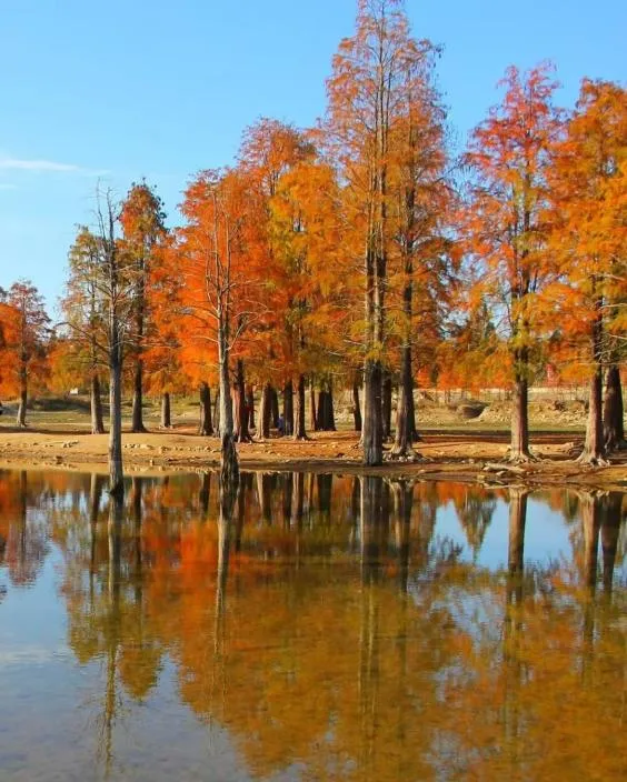 96ad980abad7402d1b9ce45b1e919ab5-sz_639107