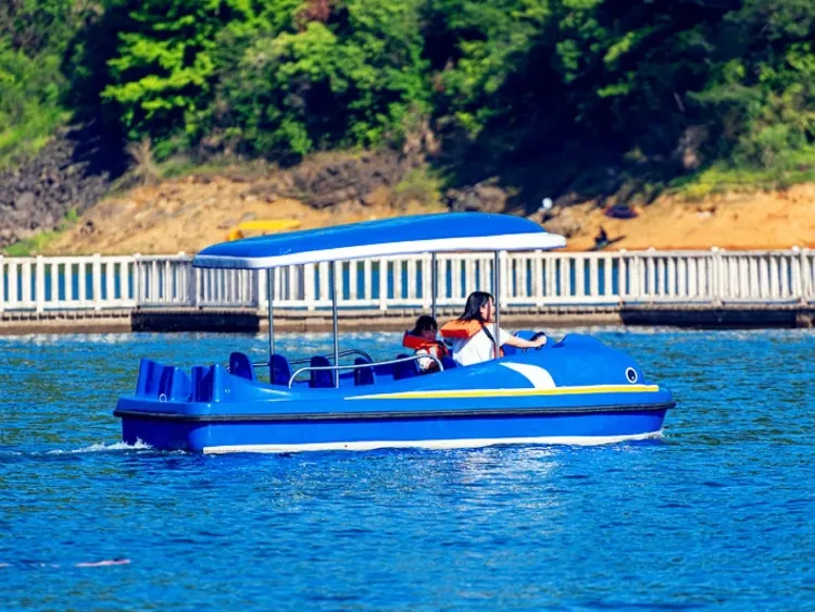 96d88ca4ff55b0788018f66e6de2ec34-sz_336158