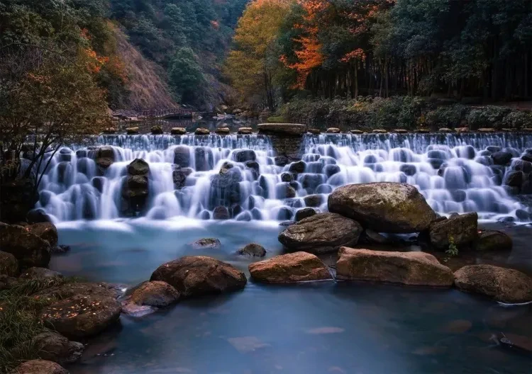 96f45b3f5b9bdf2f07586bac1a9f6fb6-sz_243755